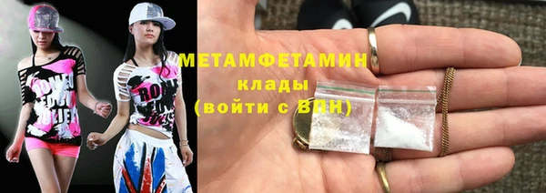 прущие грибы Новодвинск