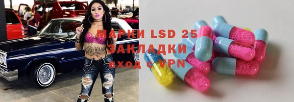 прущие грибы Новодвинск