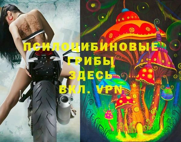 метадон Новозыбков