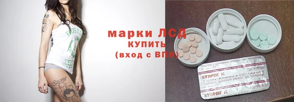 прущие грибы Новодвинск