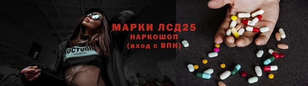 прущие грибы Новодвинск