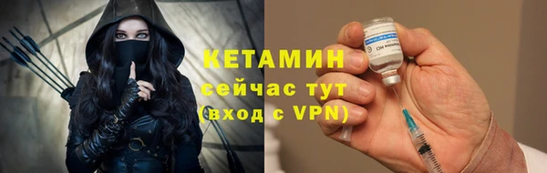 прущие грибы Новодвинск