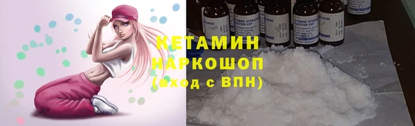 прущие грибы Новодвинск