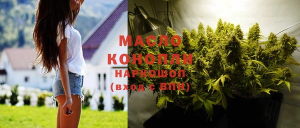 прущие грибы Новодвинск