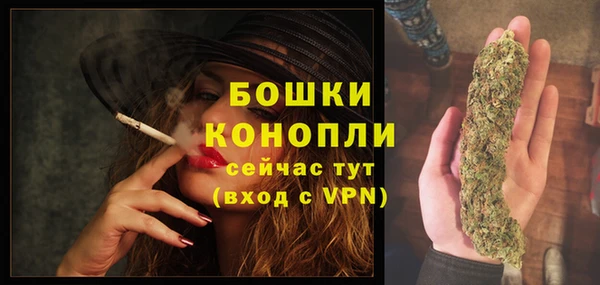 метадон Новозыбков